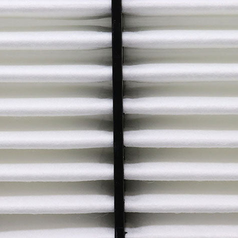 Air Filter PAF1387 / 17220-5PH-A00