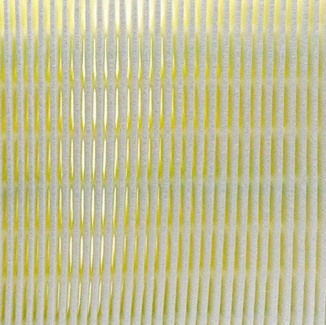 Air Filter PAF1479 / 17801-77050 / 17801-F0020