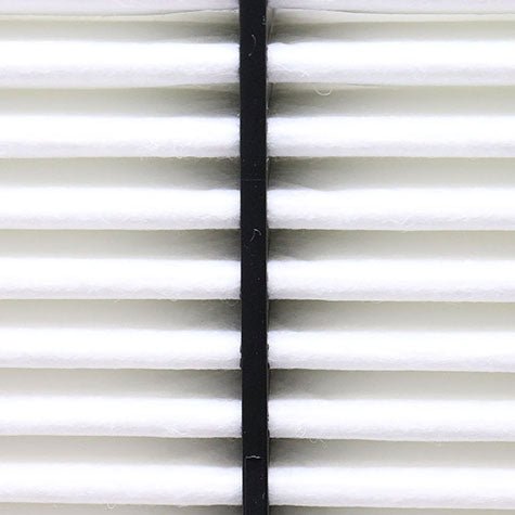 Air Filter PAF4650