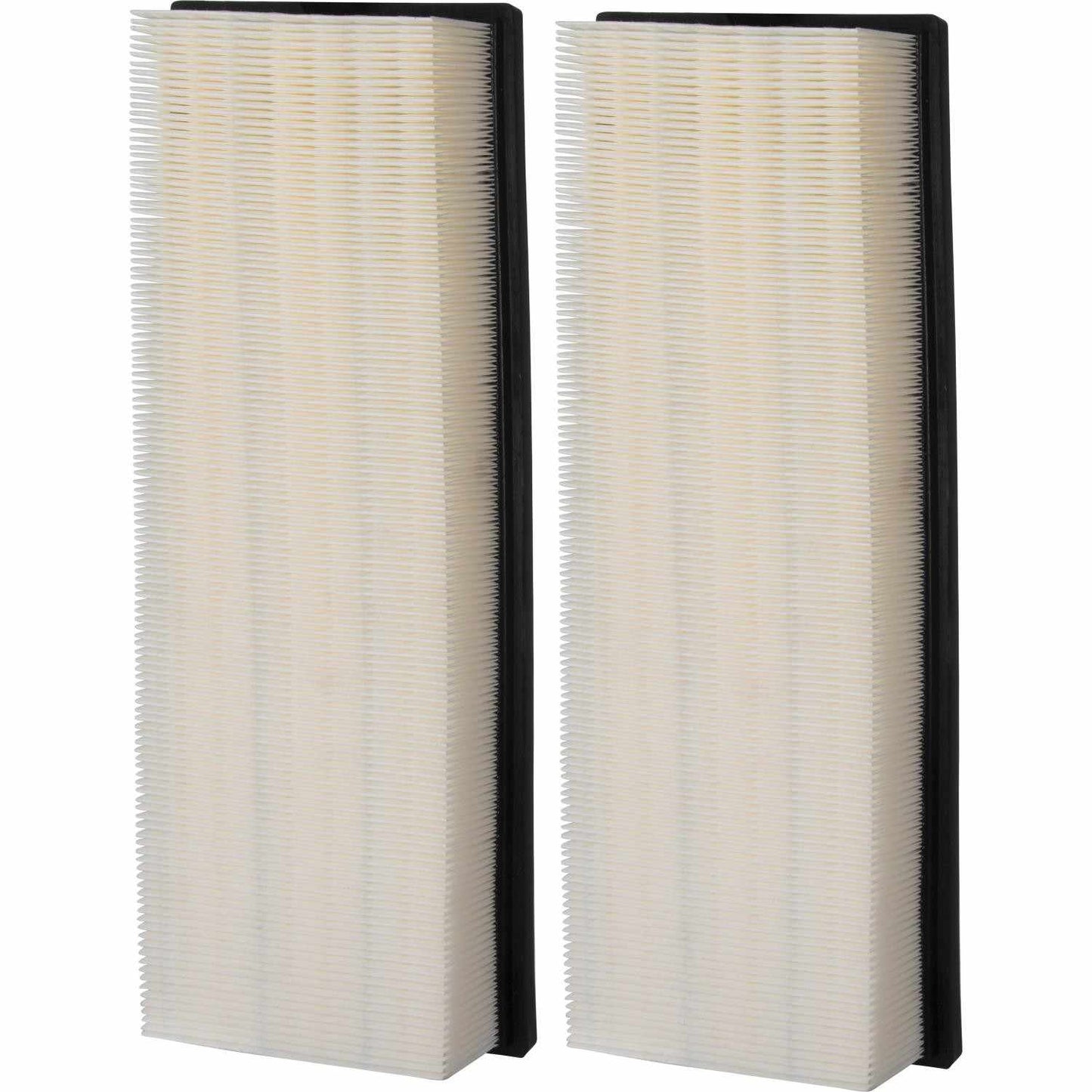 Air Filter PAF4838 ( Box contains 2 filters)