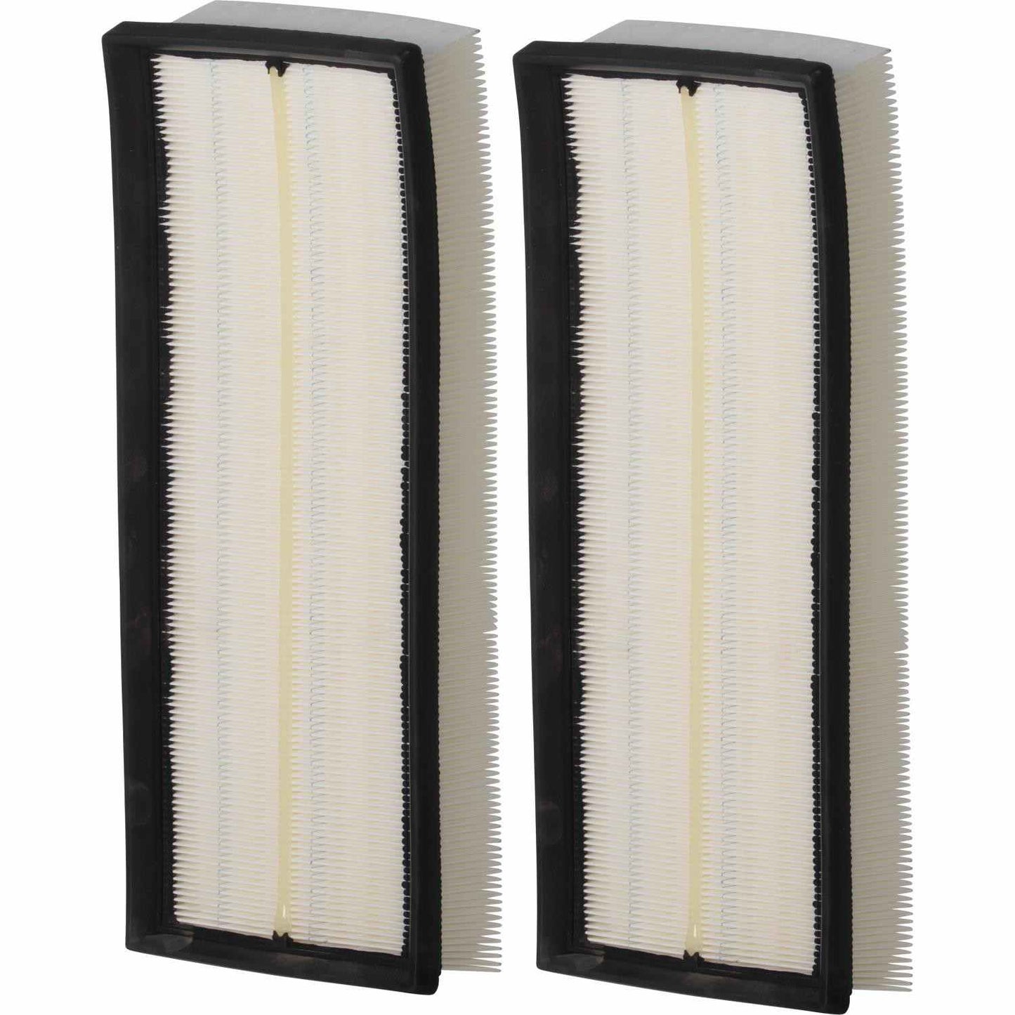 Air Filter PAF4838 ( Box contains 2 filters)
