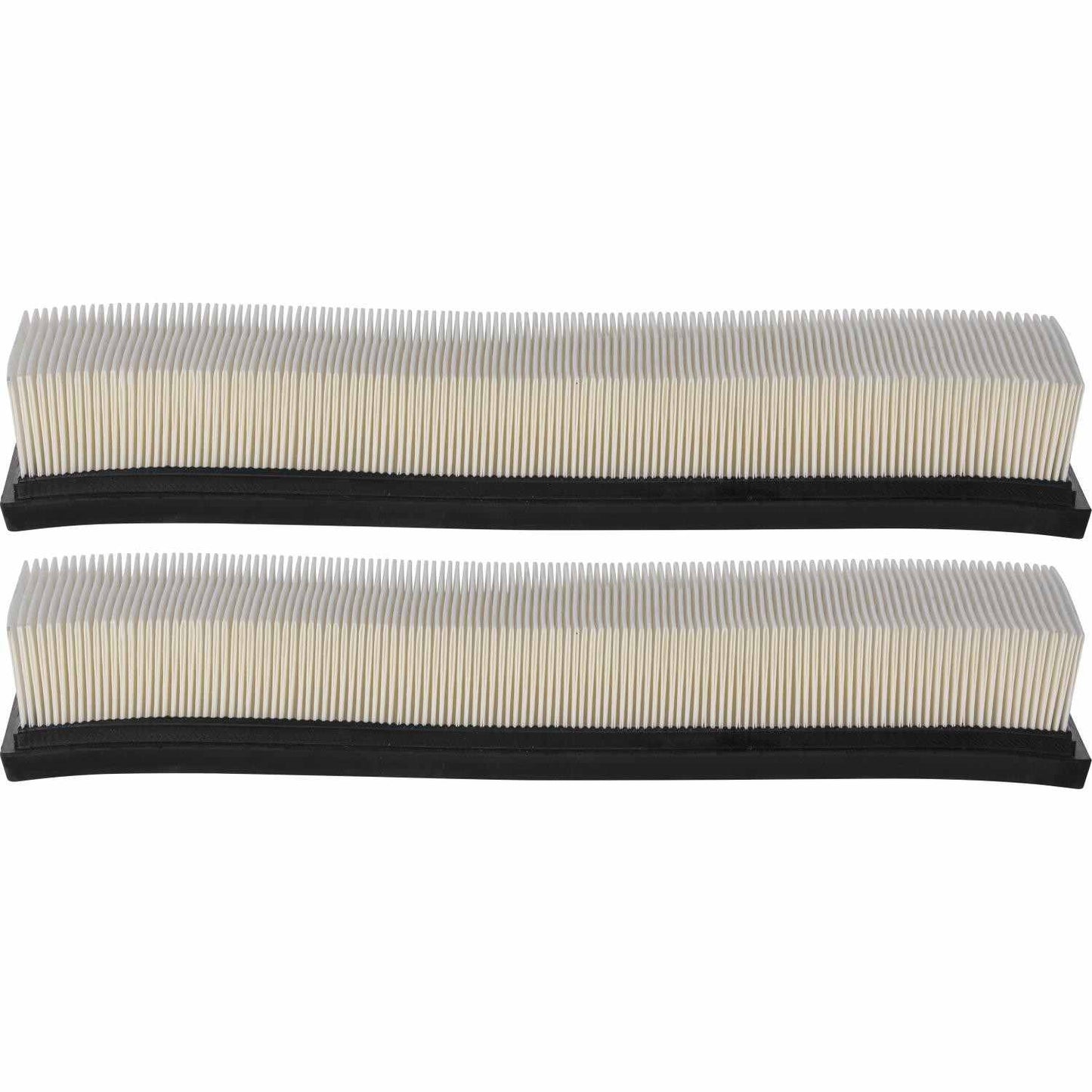 Air Filter PAF4838 ( Box contains 2 filters)