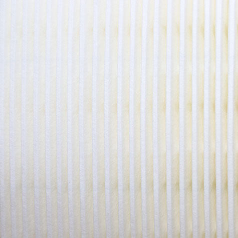 Air Filter PAF4859