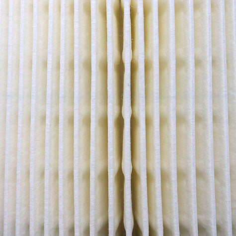 Air Filter PAF4877