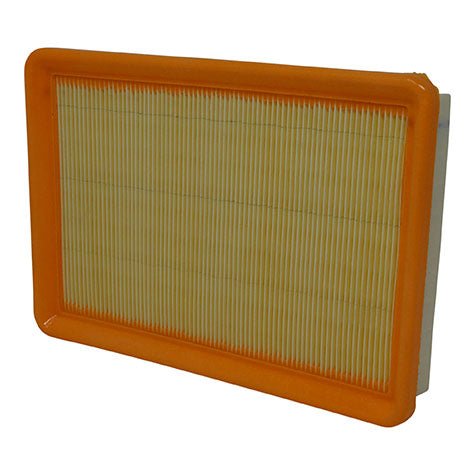 Air Filter PAF5395