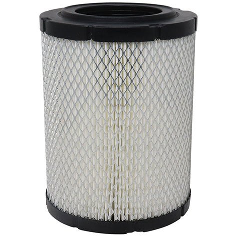 Air Filter PAF5433