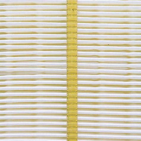 Air Filter PAF5671