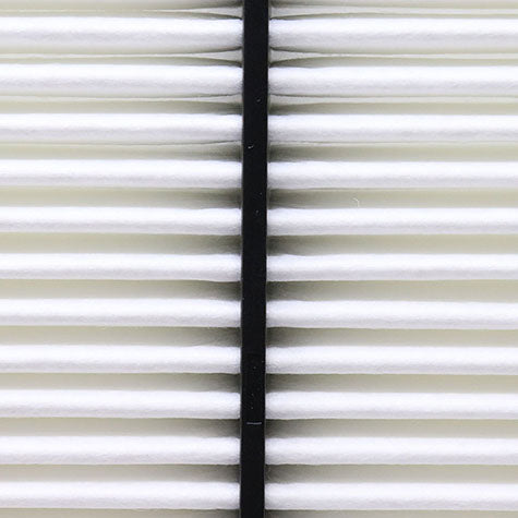 Air Filter PAF6064