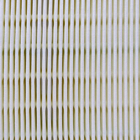Air Filter PAF6131