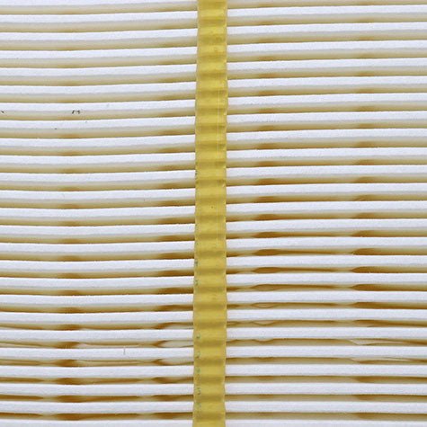 Air Filter PAF9066 / 16546-EZ40A