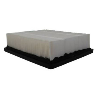 compare product Air Filter PAFW10029