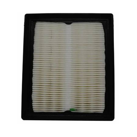 Air Filter PAFW10029