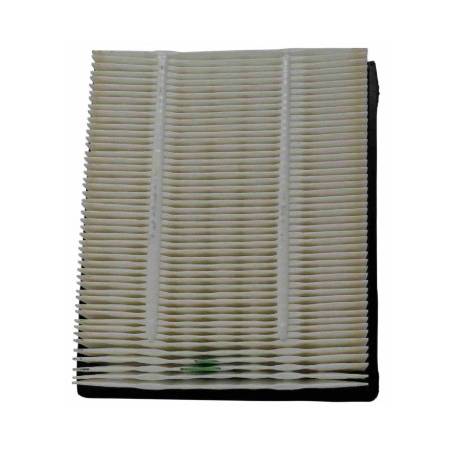 Air Filter PAFW10029