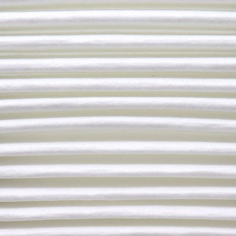 Engine Air Filter Prime Guard PAF1455