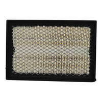 Air Filter PAF1432 / KV61-9601-AA