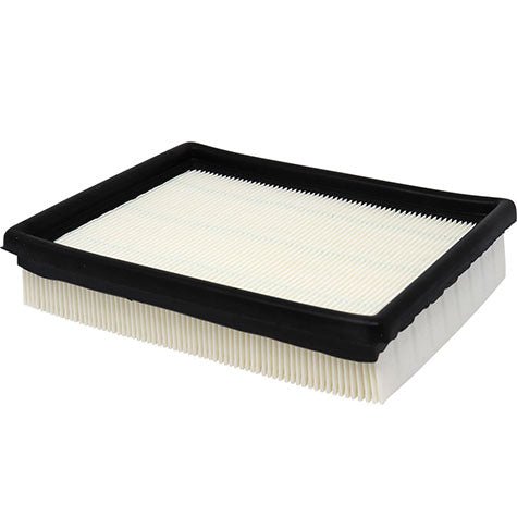 Air Filter PAF3590 / 25095333