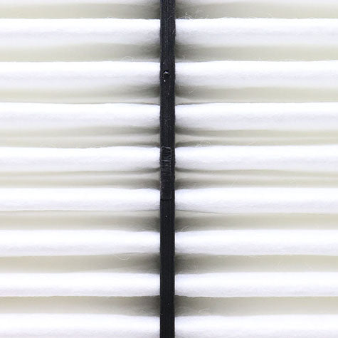 Air Filter PAF4722