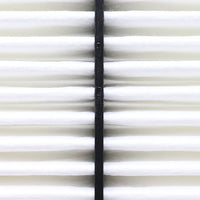 Air Filter PAF4722