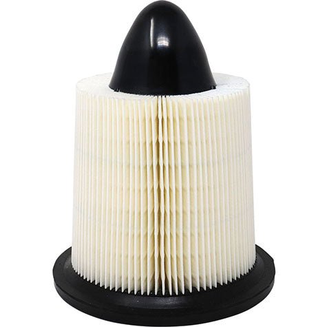 Air Filter PAF4877