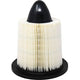 Air Filter PAF4879