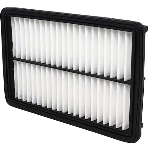 Air Filter PAF5049 / B595-13-Z40