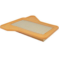 Air Filter PAF5521 / 5510026AA