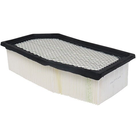 Air Filter PAF5565