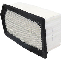 Air Filter PAF5565