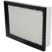 Air Filter PAF5583