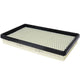 Air Filter PAF5594