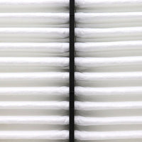 Air Filter PAF5652