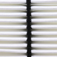 Air Filter PAF5653