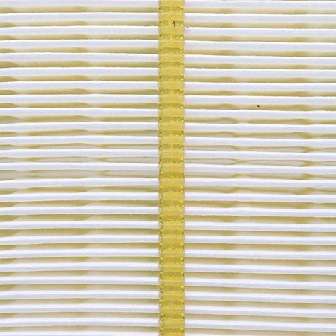 Air Filter PAF5671