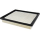 Air Filter PAF5672