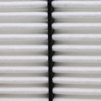 Air Filter PAF5698 / 17801-21040