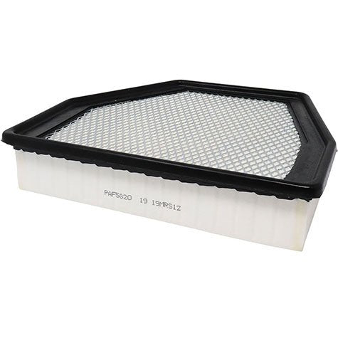 Air Filter PAF5820