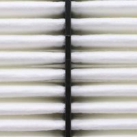 Air Filter PAF6061 / 17220-RL5-A00