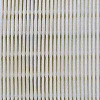 Air Filter PAF6131