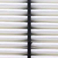 Air Filter PAF6274 / 17220-R5A-A00