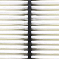 Air Filter PAF6309