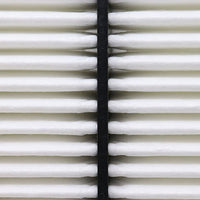 Air Filter PAF8170
