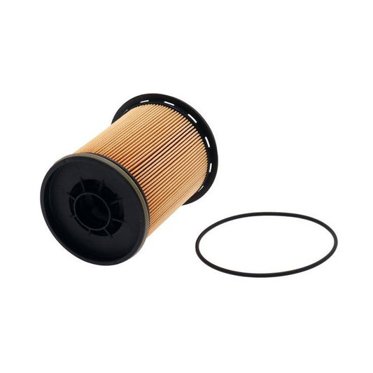 LUBER FINER Fuel Filter L6806FXL