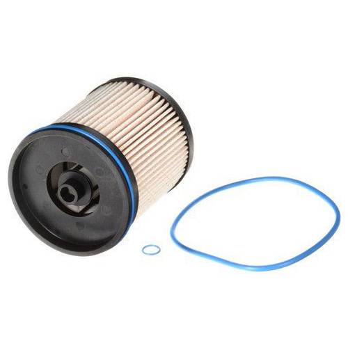 GM Fuel Filter 13539108 / TP1015 / L9999F