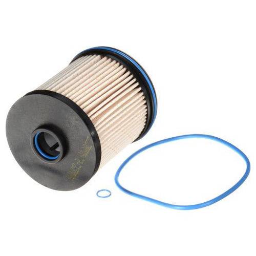 GM Fuel Filter 13539108 / TP1015 / L9999F