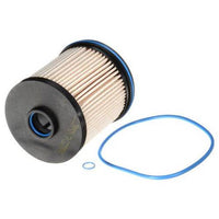 GM Fuel Filter 13539108 / TP1015 / L9999F