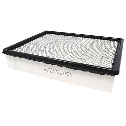 Air Filter PAF5314 / 25311916 / A1519C