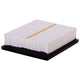Air Filter PAFW10029