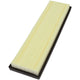 Prime Guard PAF9253 Air Filter