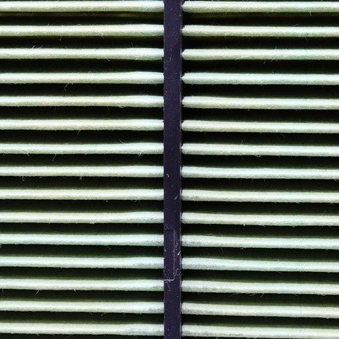 Engine Air Filter Prime Guard PAF10680