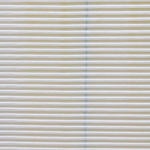Engine Air Filter Prime Guard PAF1367